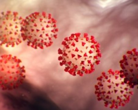 Проф. Емил Воденичаров: Covid-19 се подчинява на втория закон на Нютон