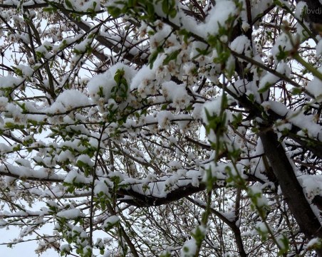Сняг ще превалява на места и днес! Ето какви температури ни очакват