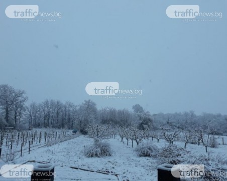Зимата се завърна! Снежна пелена покри Пловдивско
