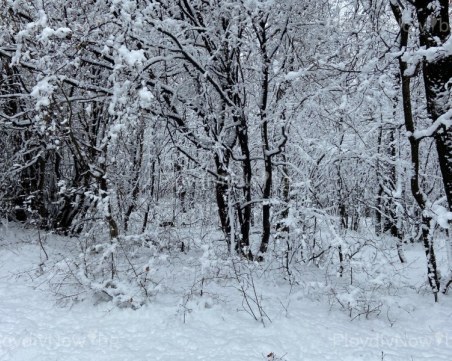 Зимна приказка! Сняг натрупа в пловдивското село Гълъбово