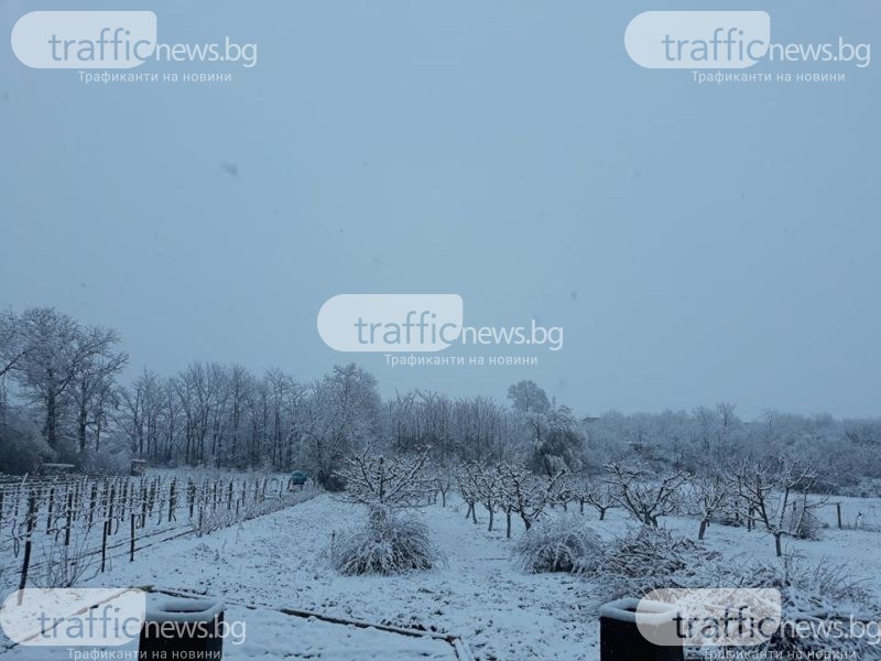 Зимата се завърна! Снежна пелена покри Пловдивско