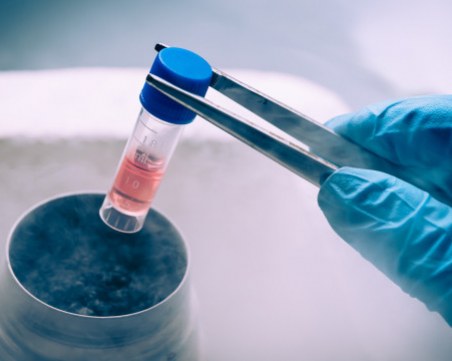 Пандемията вкара в кошмар пациенти, чакащи трансплантация на стволови клетки