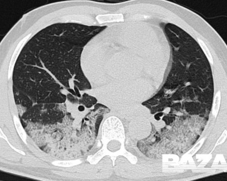 Видео показва 