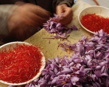 Установено е, че шафранът помага лечението на коронавирус