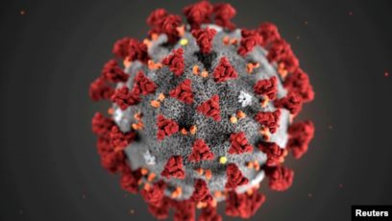 Специалист разкри можем ли да се заразим повторно с коронавирус