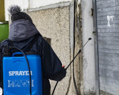 Правят масова пролетна дезакаризация в Пловдив