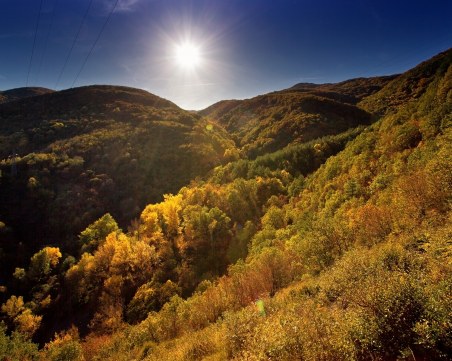 Приказният резерват 