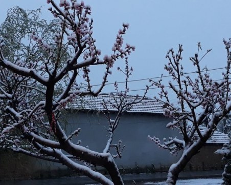 Първоаприлски сняг вали в Пловдивско