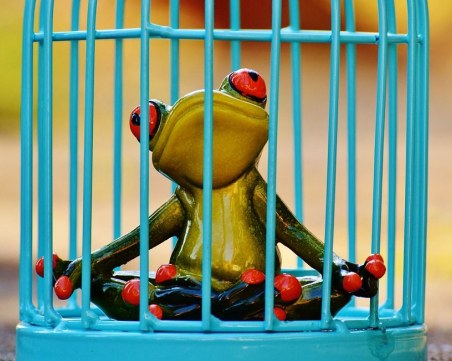 Първоаприлска шега за COVID-19 може да доведе до затвор