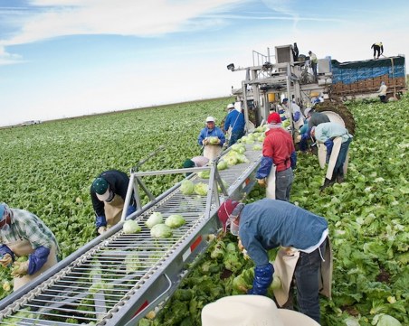 40 000 работници от Източна Европа отиват в Германия въпреки пандемията