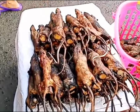 Гледна точка: Вегатарианството - най- сигурната спирачка за пандемиите