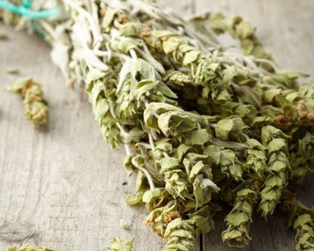 Мурсалски чай – още един начин да засилите имунната си система