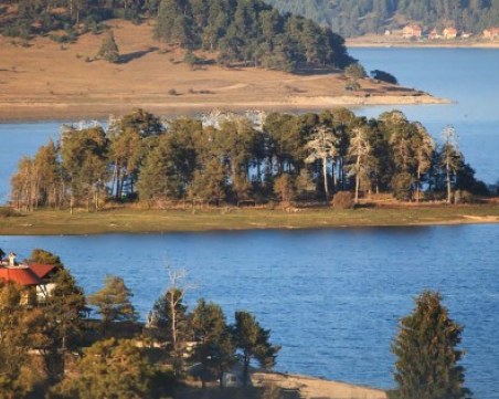 Разрешиха риболова, но само през нощта