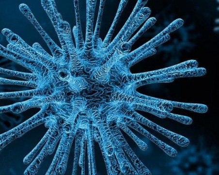 Проф. Кантарджиев: Често гърлобола и кашлицата са от коронавируси, тестовете хващат само мутиралия