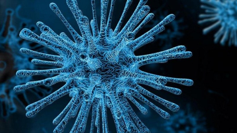 Проф. Кантарджиев: Често гърлобола и кашлицата са от коронавируси, тестовете хващат само мутиралия