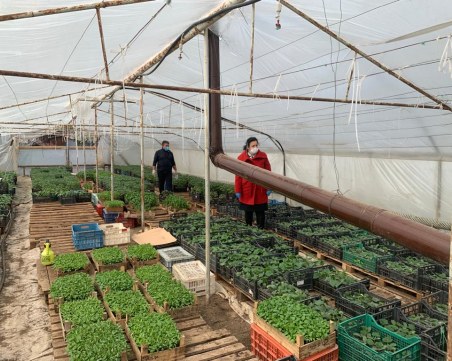 Десислава Танева: Скоро ще отворят всички земеделски пазари