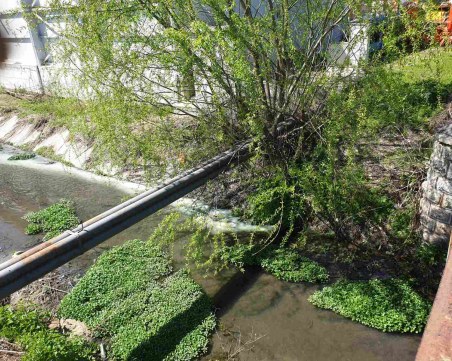 Мандра в село Маноле замърсява река Черна, грози ги санкция до 10 бона