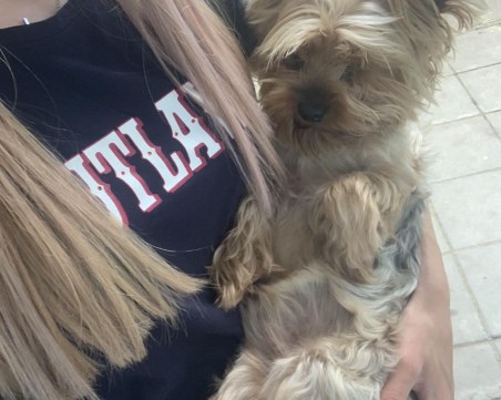 История с щастлив край: Оливър вече е в прегръдките на стопаните си