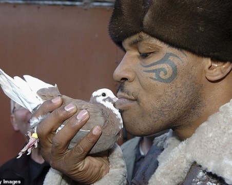 Майк Тайсън предложил 9000 паунда, за да се бие с горила