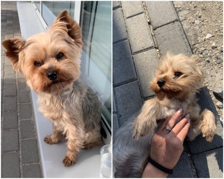 Оливър изчезна на изхода на Пловдив *