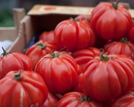 Откриха пестициди в 5 тона домати от Турция