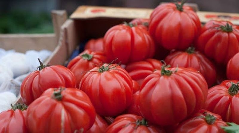 Откриха пестициди в 5 тона домати от Турция