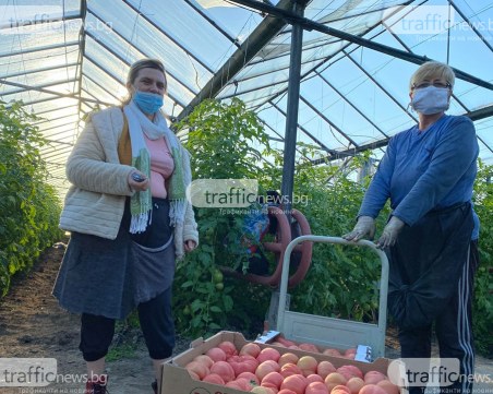 Избери българското! Ето списък на бг производители и преработватели, които търгуват онлайн