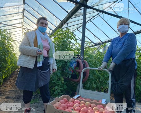 Производители от Пловдивско поискаха прокуратурата да влезе в хипермаркетите