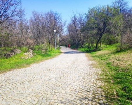 Ще се отворят ли парковете в Пловдив? Кметовете на големите градове отиват при Борисов