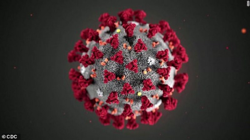 Разкриха три ясни разновидности на коронавируса