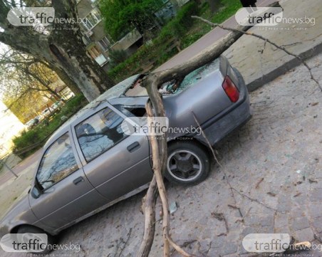 Клон се стовари върху кола в центъра на Пловдив