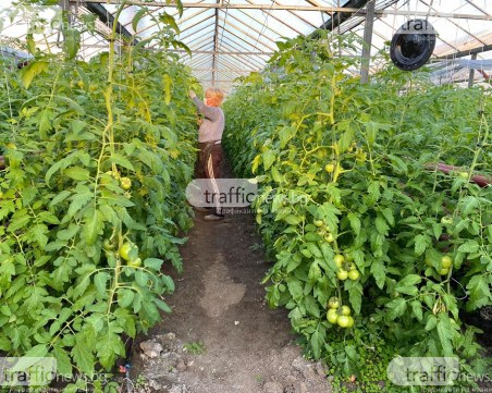 Представители на търговските вериги искат среща с Борисов, отказват да предлагат 50% българско