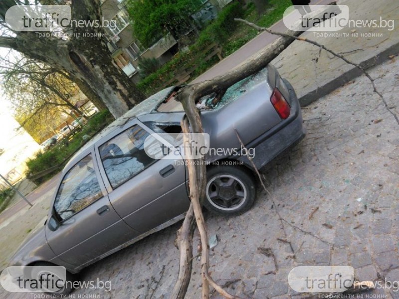 Клон се стовари върху кола в центъра на Пловдив