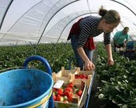 Сачева с важна информация за сезонните работници