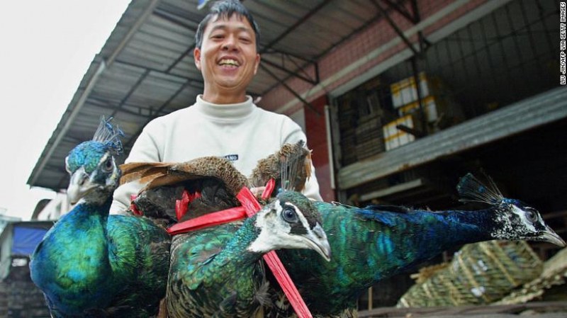 Властите в Китай съставят списък на животни, подходящи за ядене