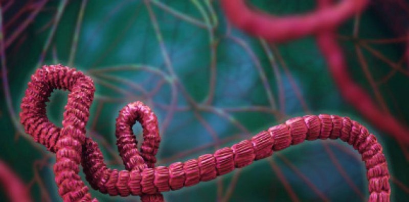 Нов кошмар - откриха случай на ебола в Африка