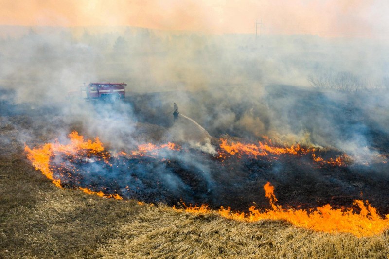 Горски пожар в опасна близост до Припят, приближава се към саркофага