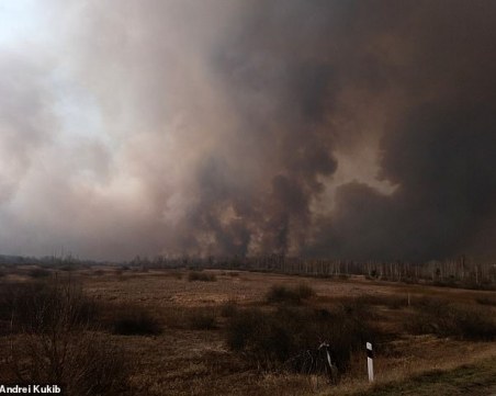 След 11 дни борба: Пожарът край Чернобил е потушен