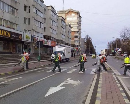 Защо областта Сучава се превърна в румънската Ломбардия