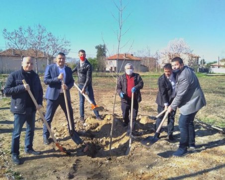 Депутати и кметове засадиха 50 фиданки в село Цалапица