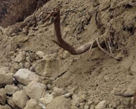 Свлачище затрупа три къщи в Пещера