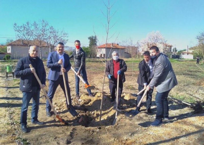Депутати и кметове засадиха 50 фиданки в село Цалапица