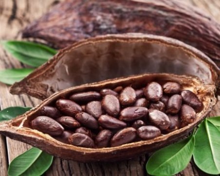 Какаовите зърна – изключителен афродизиак
