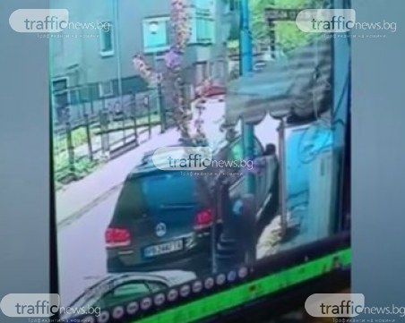 Пенсионер от Пловдив осакати вълшебната красота на японска вишна