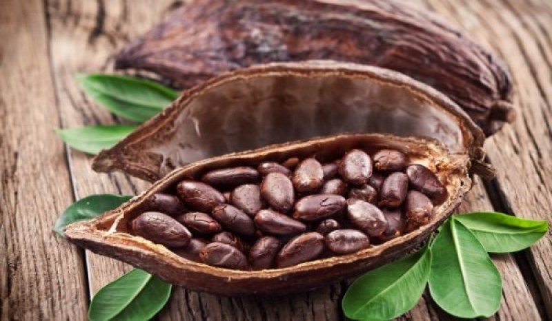Какаовите зърна – изключителен афродизиак