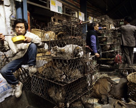 Въздействието на коронавируса върху китайската икономика започва едва сега