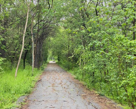 Борисов за парковете: Ако заболелите се задържат на тези нива през уикенда - ще ги отворим