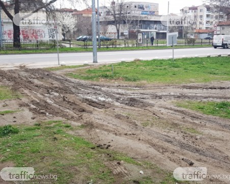 Шофьори от Пловдив нагазиха в полянка, превърнаха я в черен път