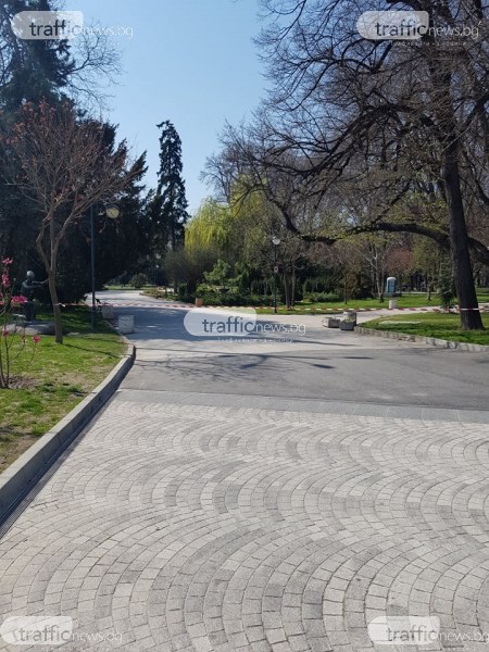 Столична община: Забраната за паркове, градини и събиране на хора продължава да е в сила
