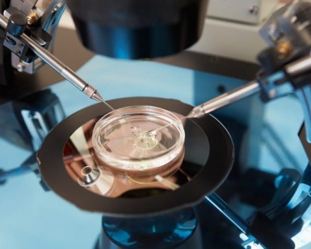 Официално: Разрешиха ин витро процедурите